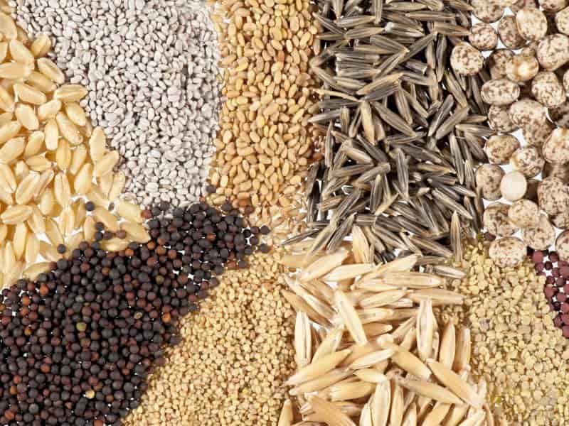 خوراک دام رمه گلستان؛ پودر ماهی گوشت حاوی کلسیم پتاسیم ویتامین (K A)