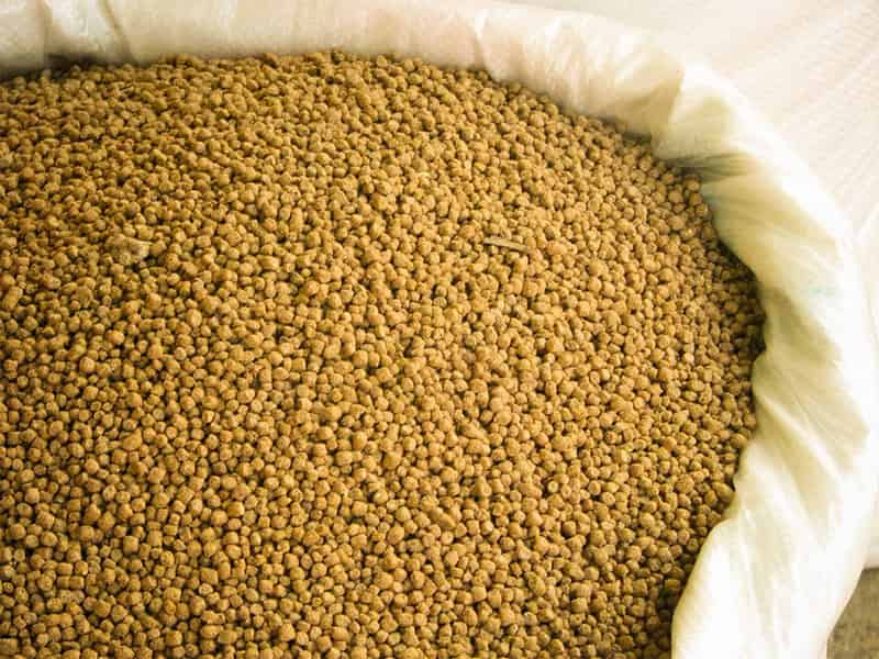 خوراک دام فریمان؛ کاه یونجه کنسانتره حاوی آنتی اکسیدان کلسیم sulfur