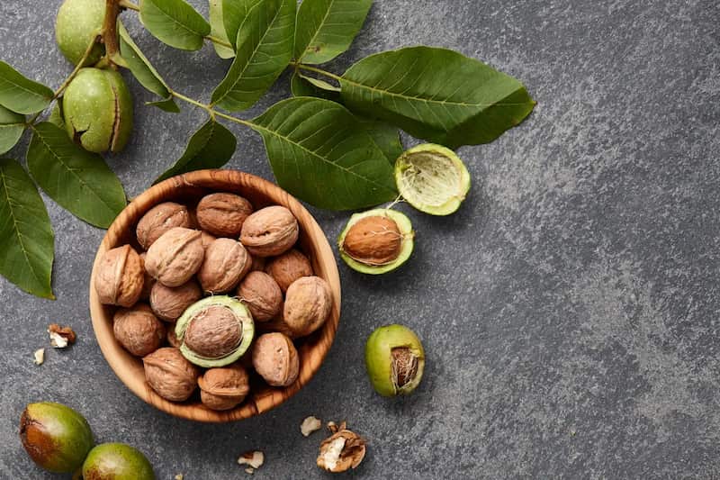 گردوی درشت تویسرکان؛ آجیلی روغنی پوست کاغذی طعم شیرین