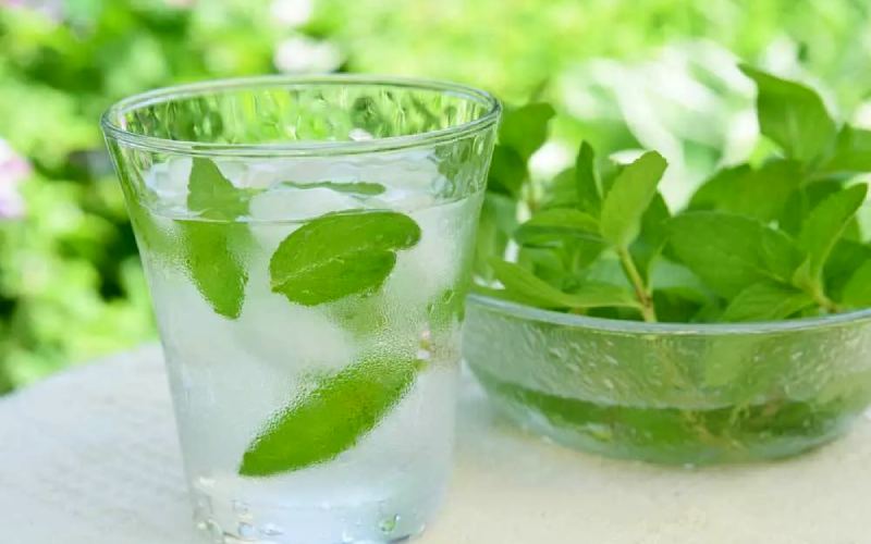 شربت نعناع محلی؛ طعم تند شکر آرامبخش رفع عطش organic