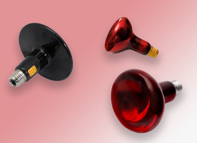 لامپ حرارتی بدون نور؛ طیف نور مادون قرمز مناسب فیزیوتراپی Lamp