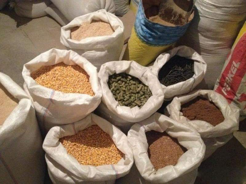 خوراک دام و طیور صادراتی؛ ذرت یونجه سیلاژ غلات حاوی ویتامین Protein