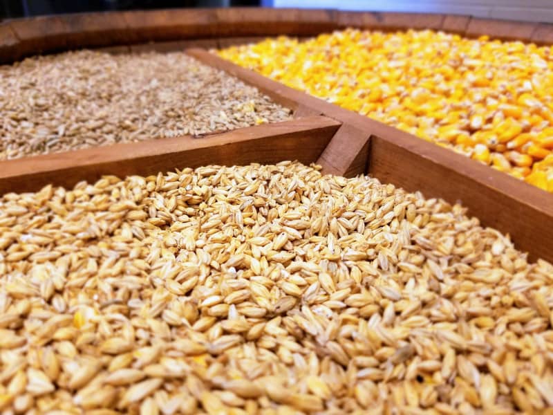 خوراک دام و طیور کوروش؛ سبوس کاه علوفه سیلو شده هضم بالا