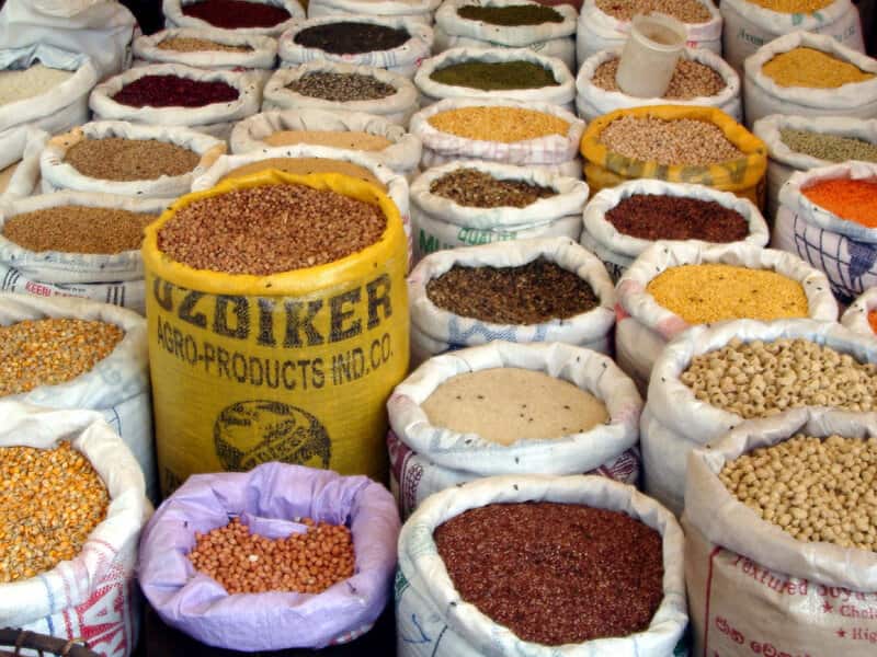 خوراک دام و طیور مشهد؛ شیری گوشتی افزایش شیر دهی حجم (30 40) کیلویی