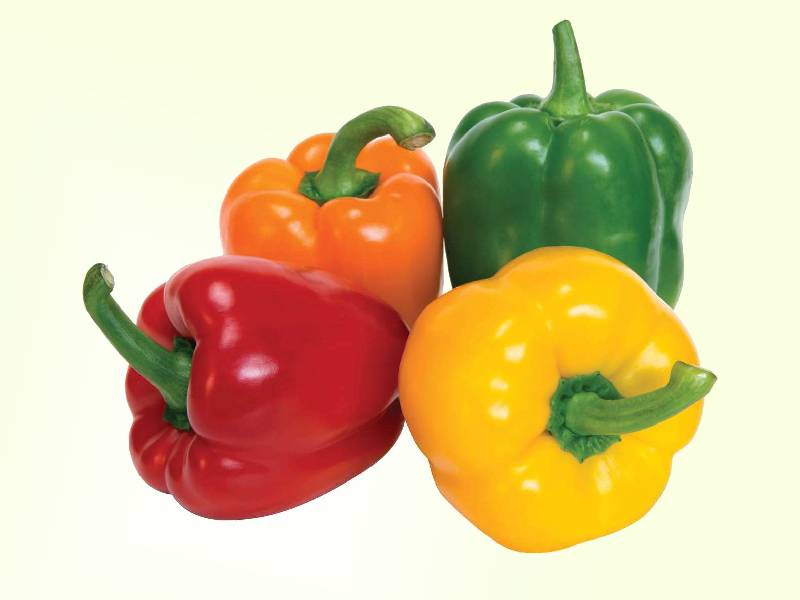 فلفل رنگی گلخانه ای؛ ارگانیک (قرمز زرد نارنجی) کارتن 9 عددی