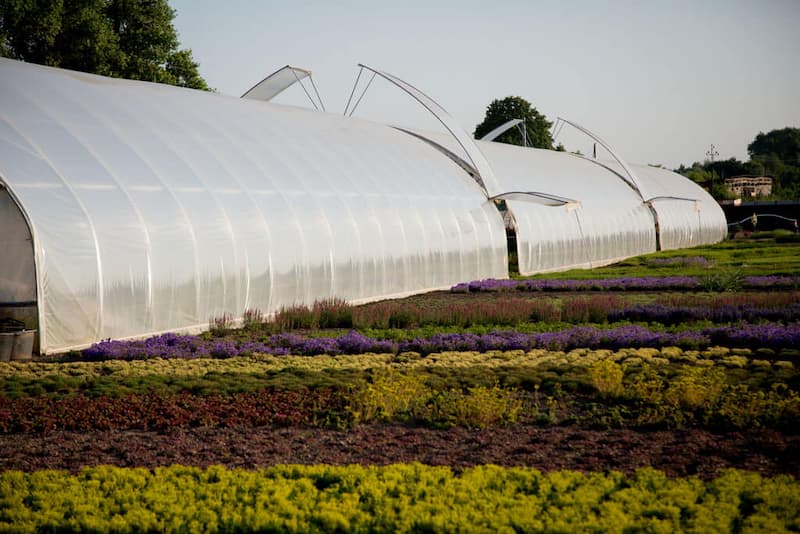 نایلون کشاورزی؛ گلخانه ای مالچ سیلو دوام بالا فله ای کیلویی Agricultural nylon