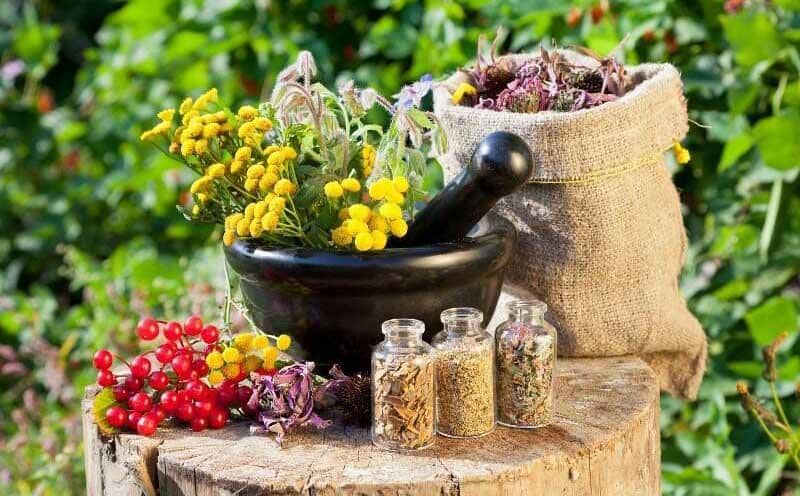 گیاهان دارویی هورمونی؛ تقویت متابولیسم بدن حاوی فیبر آهن Calcium