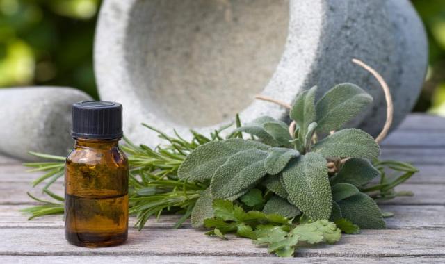 روغن های گیاهی ضد قارچ؛ طبیعی چرب 2 کارآیی درمانی بهداشتی بی خطر