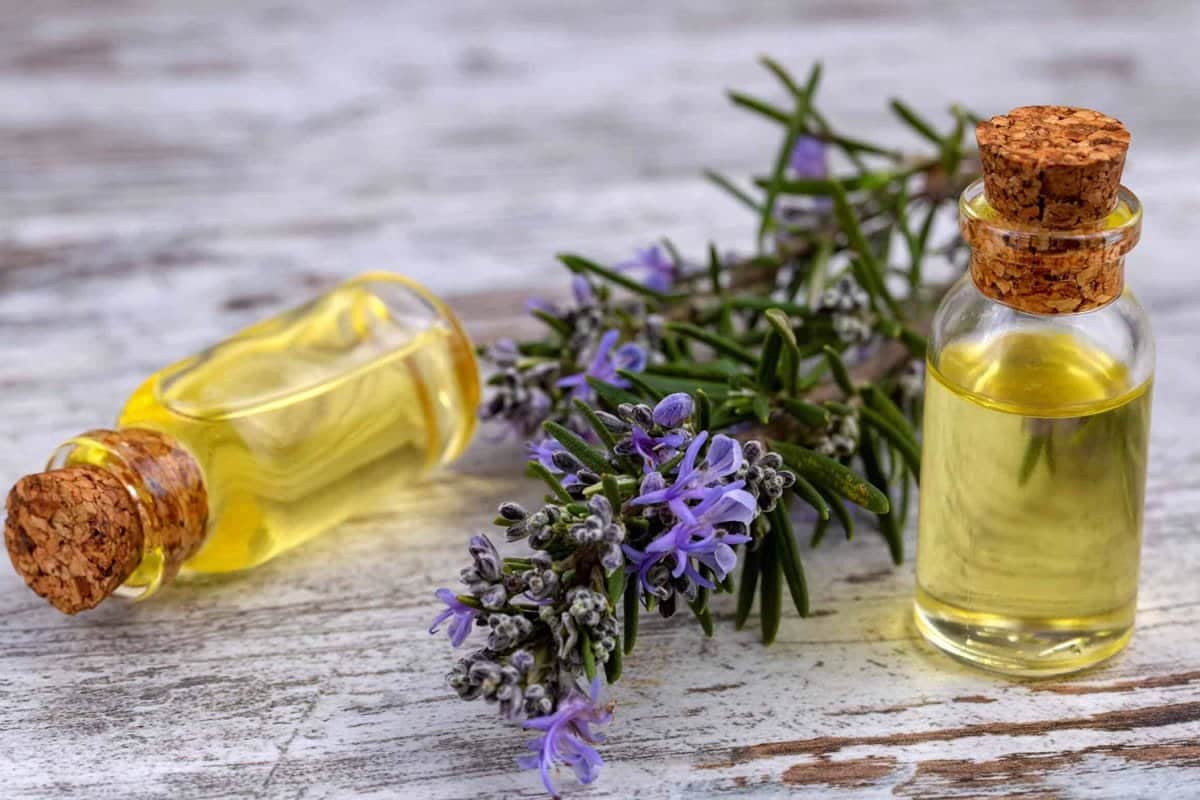 روغن های گیاهی گرم؛ مایع موضعی (ماساژ تسکین درد) خوراکی