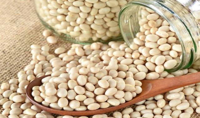 لوبیا سفید پهن؛ کلسیم آهن منیزیم منگنز 2 کاربرد (سالاد غذا)