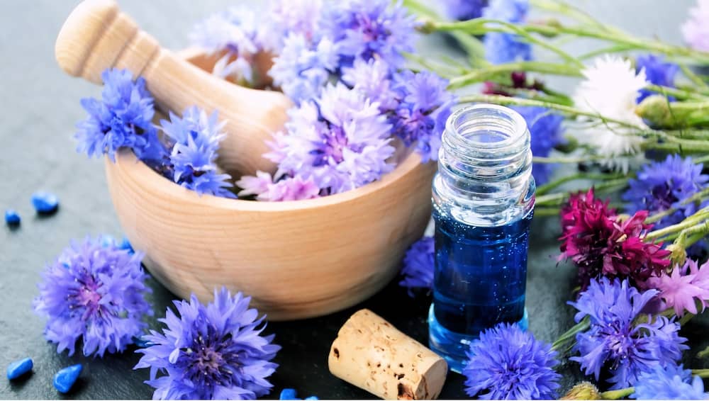 عرق کاسنی مرغوب؛ شفاف طعم تلخ درمان تپش قلب ویتامین (E C B6 A)