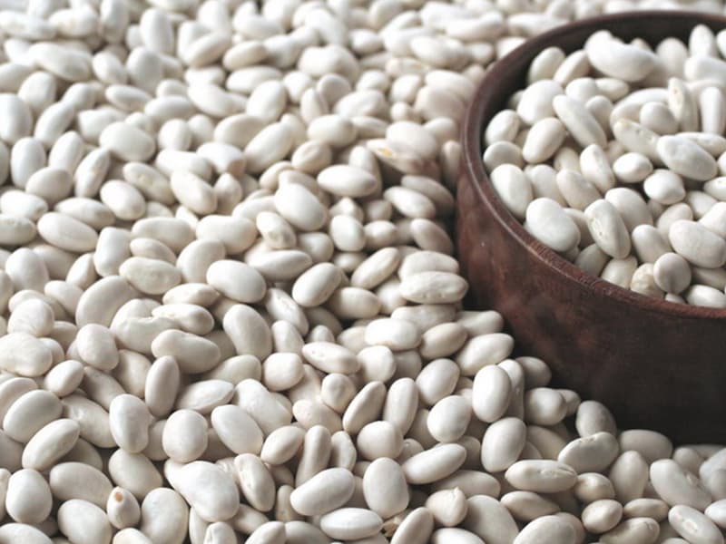 لوبیا سفید کوچک؛ منیزیم آهن 2 مزیت تقویت سیستم ایمنی سلامت پوست