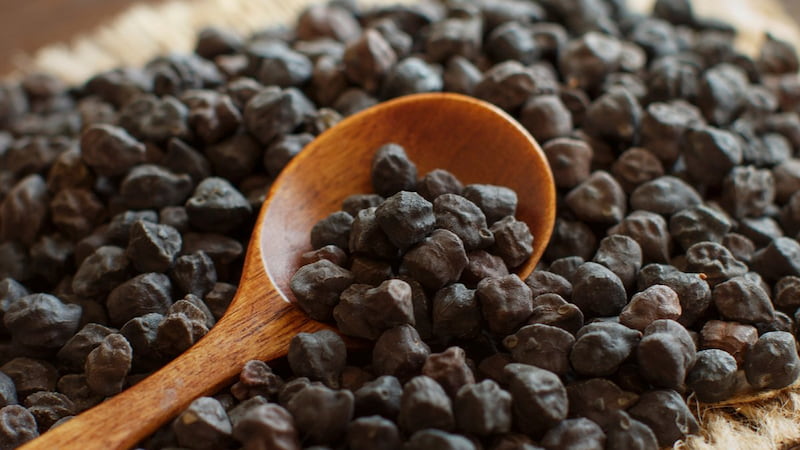 نخود سیاه در بازار امروز؛ طبع گرم خشک دفع سنگ کلیه فیبر Vitamin B