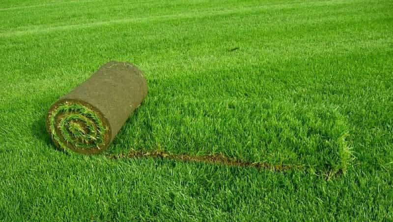 چمن مصنوعی کرمان موکت؛ متراکم نیمه بلند سوزنی Grass