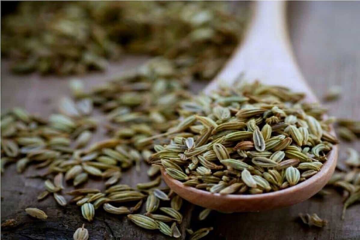 رازیانه ضد بلغم؛ طبع گرم مناسب تهیه کلوچه شیرینی fennel