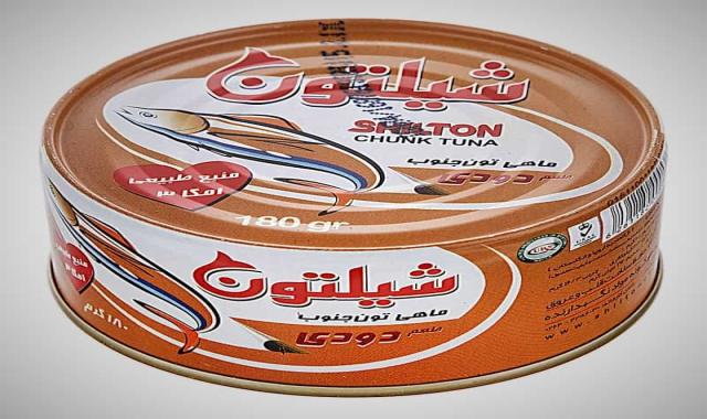 ماهی تن شیلتون؛ جنوبی شمالی 3 مدل گیدر ماکرل هوور