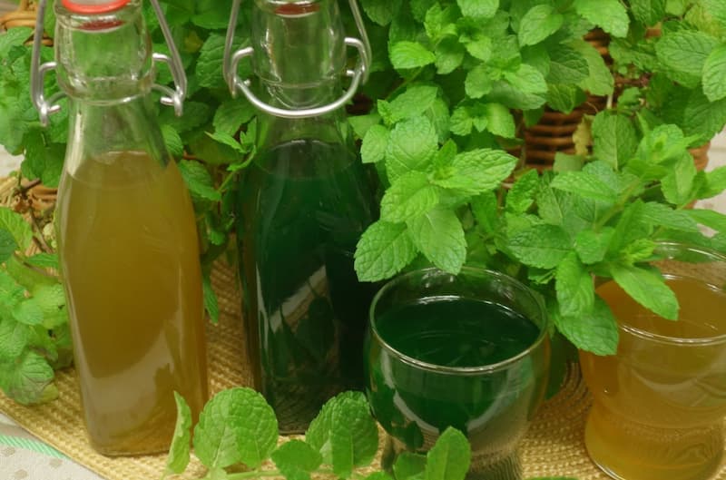 شربت نعنا بارهنگ؛ طبع گرم سرد حاوی آهن ویتامین Calcium