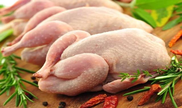 گوشت مرغ امروز مشهد؛ زودپز سفید تازه حاوی ویتامین Meat