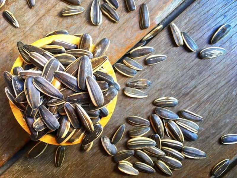 تخمه آفتابگردان سقز؛ خام شور شمشیری حاوی ویتامین ( E B1 B6)