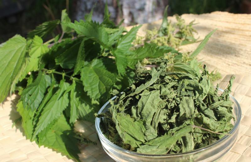 گیاه دارویی برای سرفه؛ درمان سرما خوردگی بنفش طبع گرم دمنوش Purple