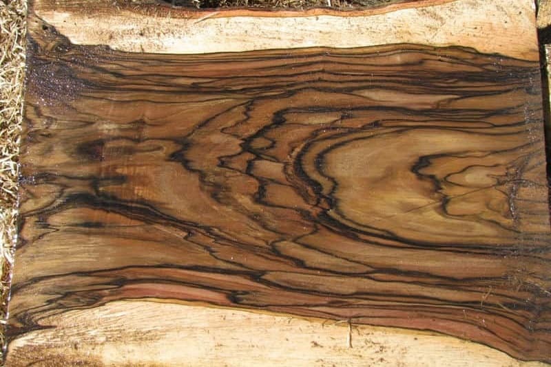 چوب گردو شیراز؛ قهوه ای صیقلی 2 کاربرد مجسمه منبت رنگ پذیر Shiraz