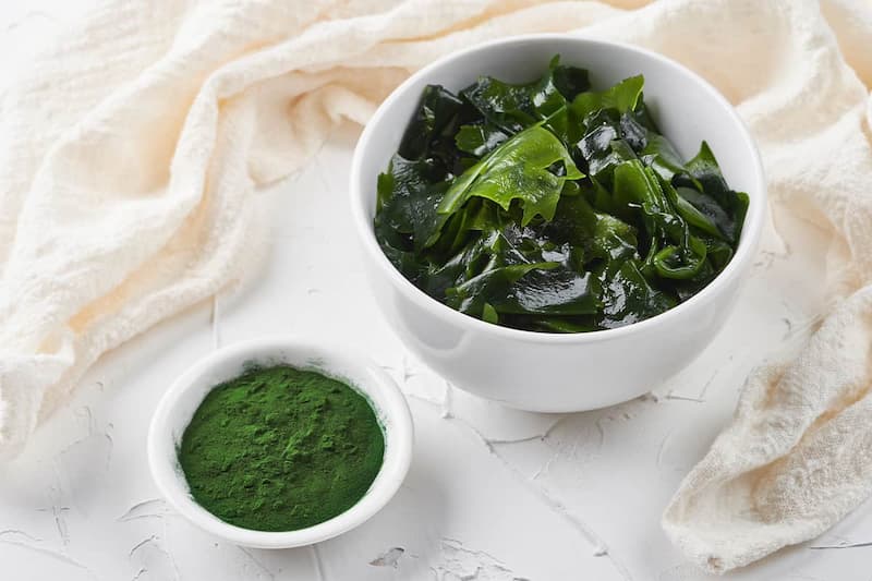 ماسک صورت جلبک لدورا؛ رفع جوش آکنه پودری حاوی Antioxidants