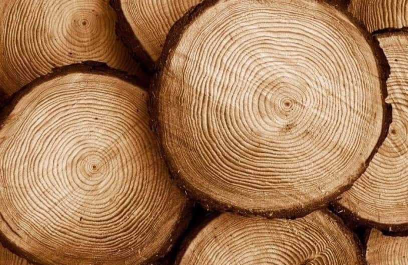 چوب گردو سنندج؛ بافت نرم صاف 2 رنگ قهوه ای روشن تیره Sanandaj