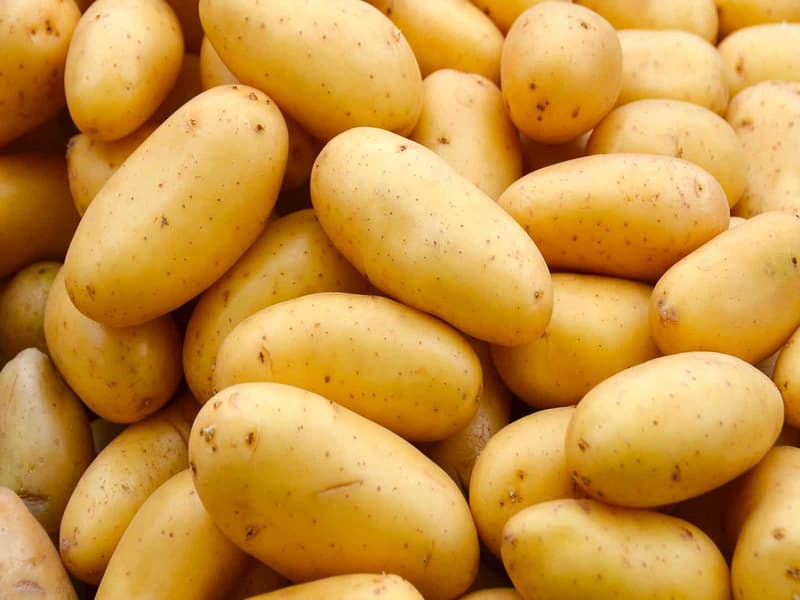سیب زمینی بازار تهران؛ توزرد حاوی فسفر منیزیم 25 کیلوئی