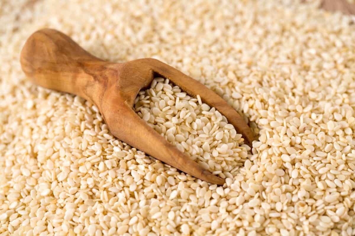 کنجد اصفهان؛ روغنی بیسکویت شیرینی حلوا IRAN