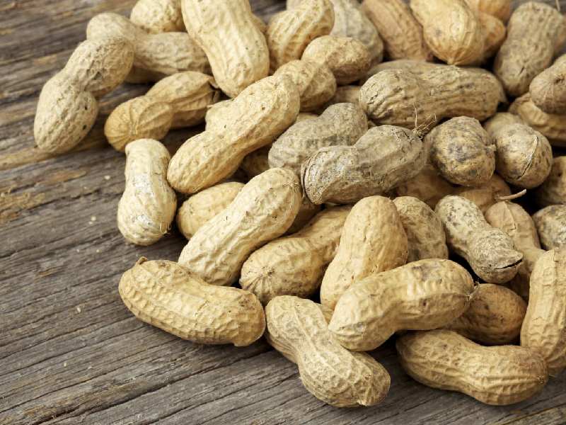 بادام زمینی پوست کاغذی؛ خام بوداده حاوی پروتئین مواد مغذی Calcium