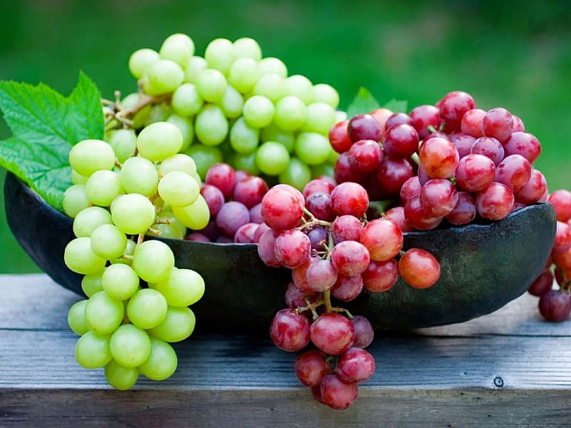 انگور یاقوتی گلخانه ای؛ شیرین آبدار خون ساز ویتامین (A K E C)