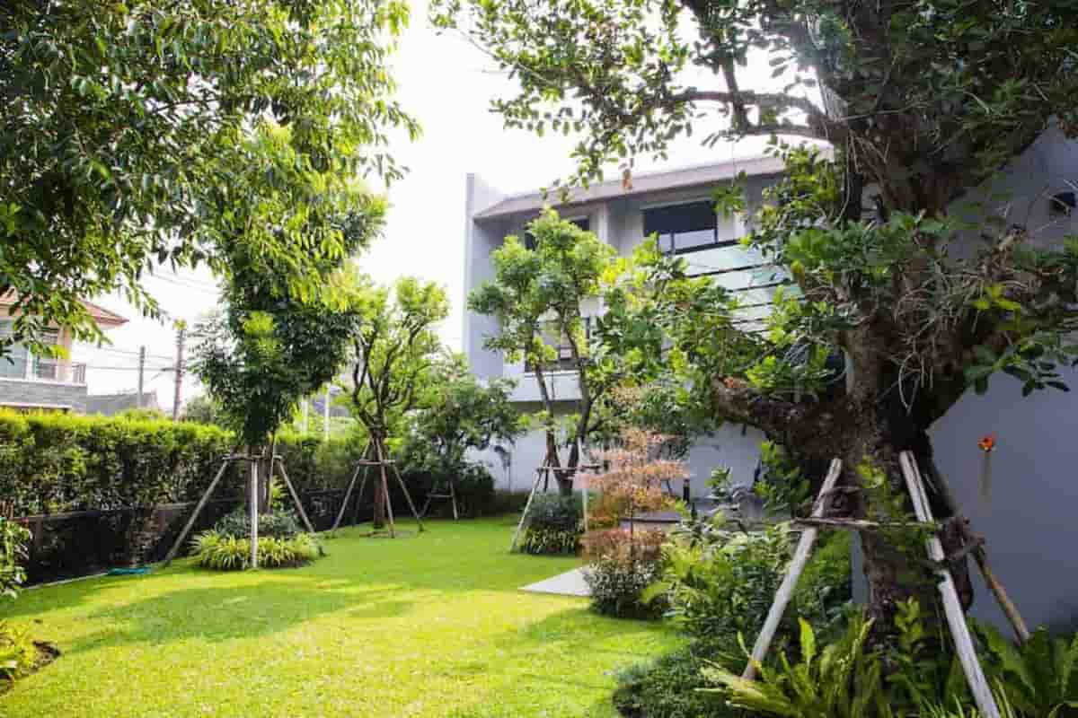 عایق رطوبتی ضد ریشه؛ کششی ارتجاعی 2 کاربرد بام ساختمان