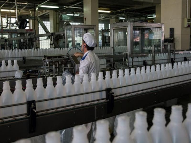 ماشین آلات خط تولید لبنیات؛ شبانه روزی رعایت بهداشت دمای محیط machinery