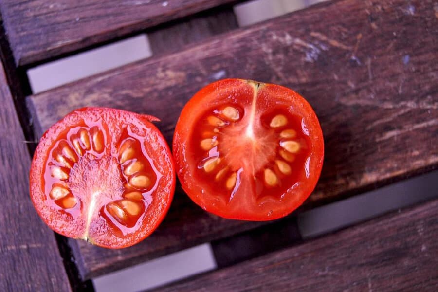 بذر گوجه برنتا؛ بوته درختی زودرس ضد ویروس قارچ