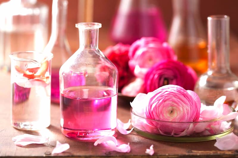 گلاب خانگی ۱۴۰۱؛ تلخ طبع گرم کاربرد (اسانس ماسک صورت)