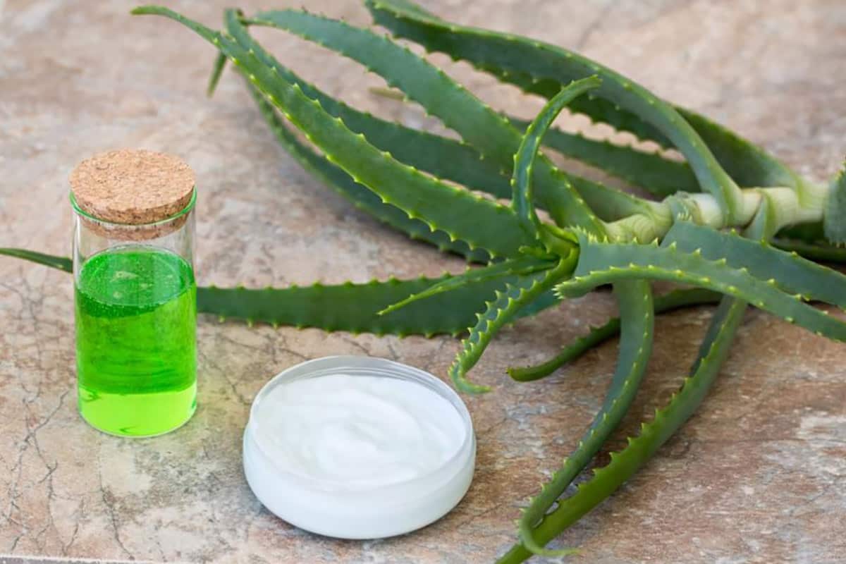 آلوئه ورا برای لک صورت (چادروا) لوسیون کرم آبرسان حاوی ویتامین A