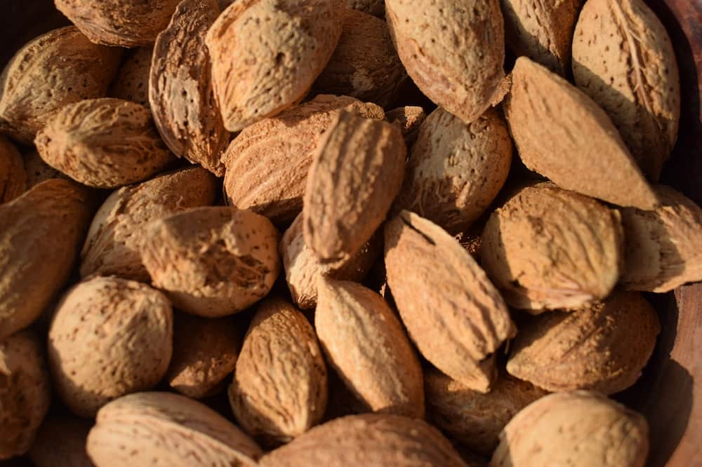 بادام درختی با پوست؛ سنگی مامایی پوست کاغذی Calcium