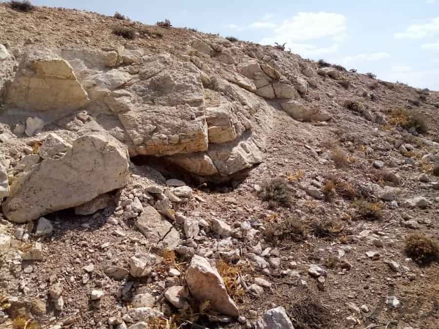 بنتونیت چاه ارت؛ ریز کرمی 2 نوع سدیمی کلسیمی ضد سایش Earth