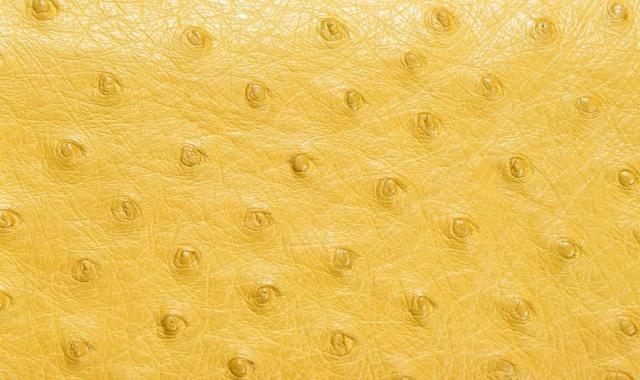 چرم شترمرغ تهران؛ پوشاک کیف کفش 2 رنگ قهوه ای عسلی