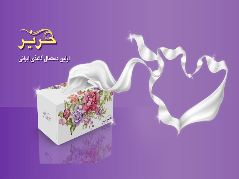 دستمال کاغذی حریر قائمشهر؛ دو لایه الیاف سلولزی 2 نوع معمولی توالت