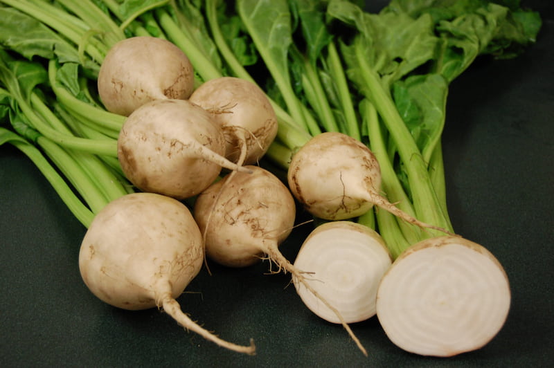 چغندر سفید؛ آیا چغندر سفید چاق کننده است