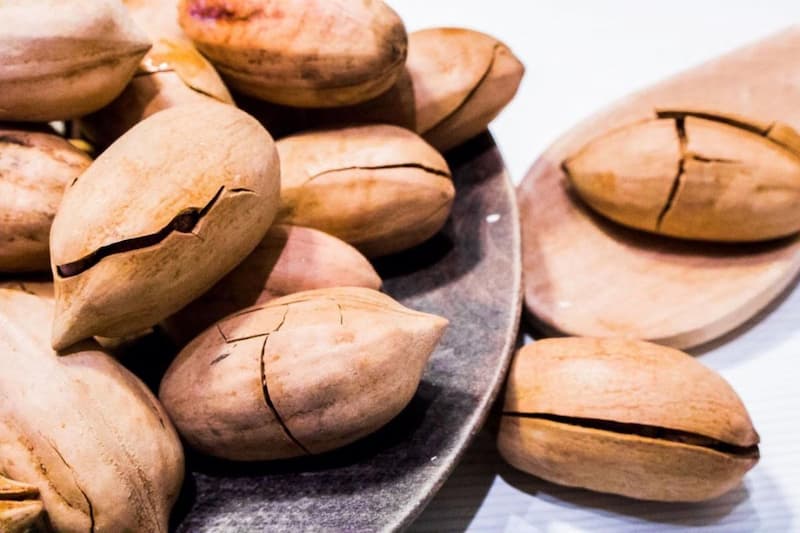 گردو آمریکایی در مشهد؛ آجیل میان وعده گرد بیضی American