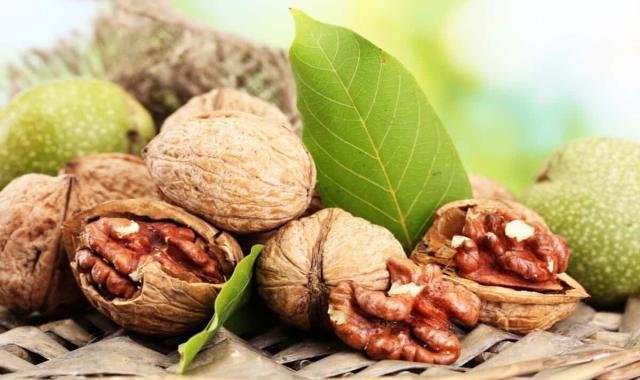 گردو تویسرکان اصفهان؛ فله کاغذی مو پوست 60 کالری Walnut