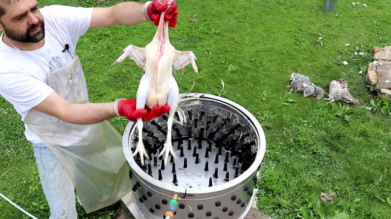 پرکن مرغ خانگی؛ دستی اتومات 1.5 اسب بخار Stuffing