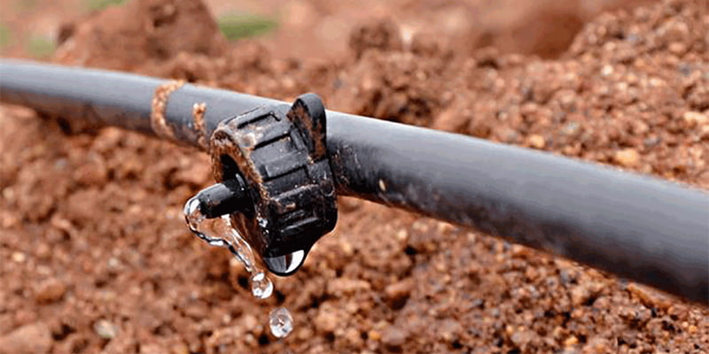 لوله آبیاری قطره ای مشهد؛ پلی اتیلن انعطاف پذیر 2 رنگ خاکستری مشکی