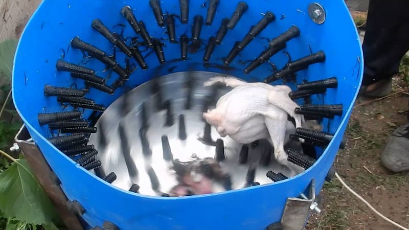 دستگاه پرکن مرغ اسکندری؛ مقاوم پوسیدگی ضد زنگ آلومینیوم Iran