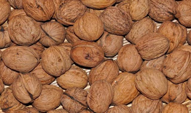 گردو اسرائیلی پایه کوتاه؛ کاغذی مغز (روغنی درشت) کلسیم