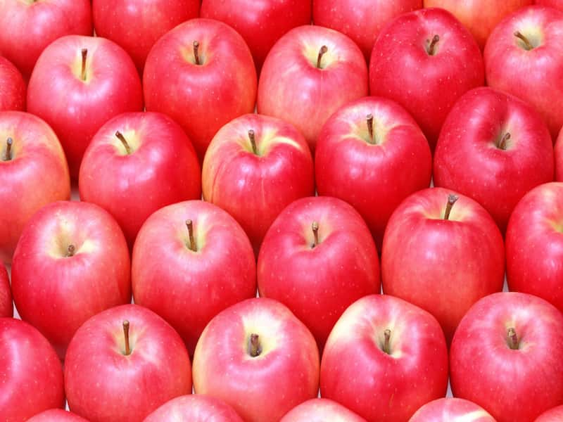 سیب قرمز در بازار ارومیه؛ ترد بدون لک جوانسازی پوست حاوی ویتامین C