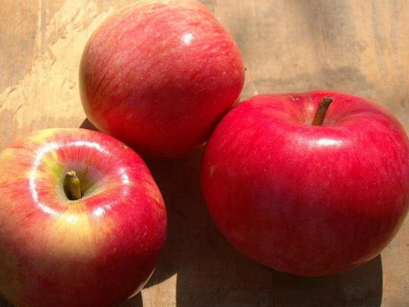 سیب قرمز در بازار تهران؛ آبدار شیرین پاکسازی سموم کبد