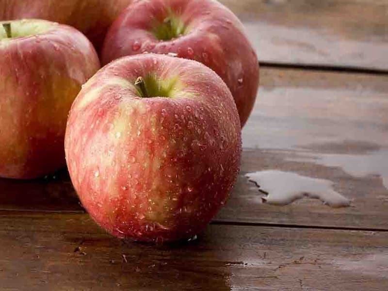 سیب درختی در کویت؛ محصول ارگانیک 2 وارداتی پیوندی Phytochemicals